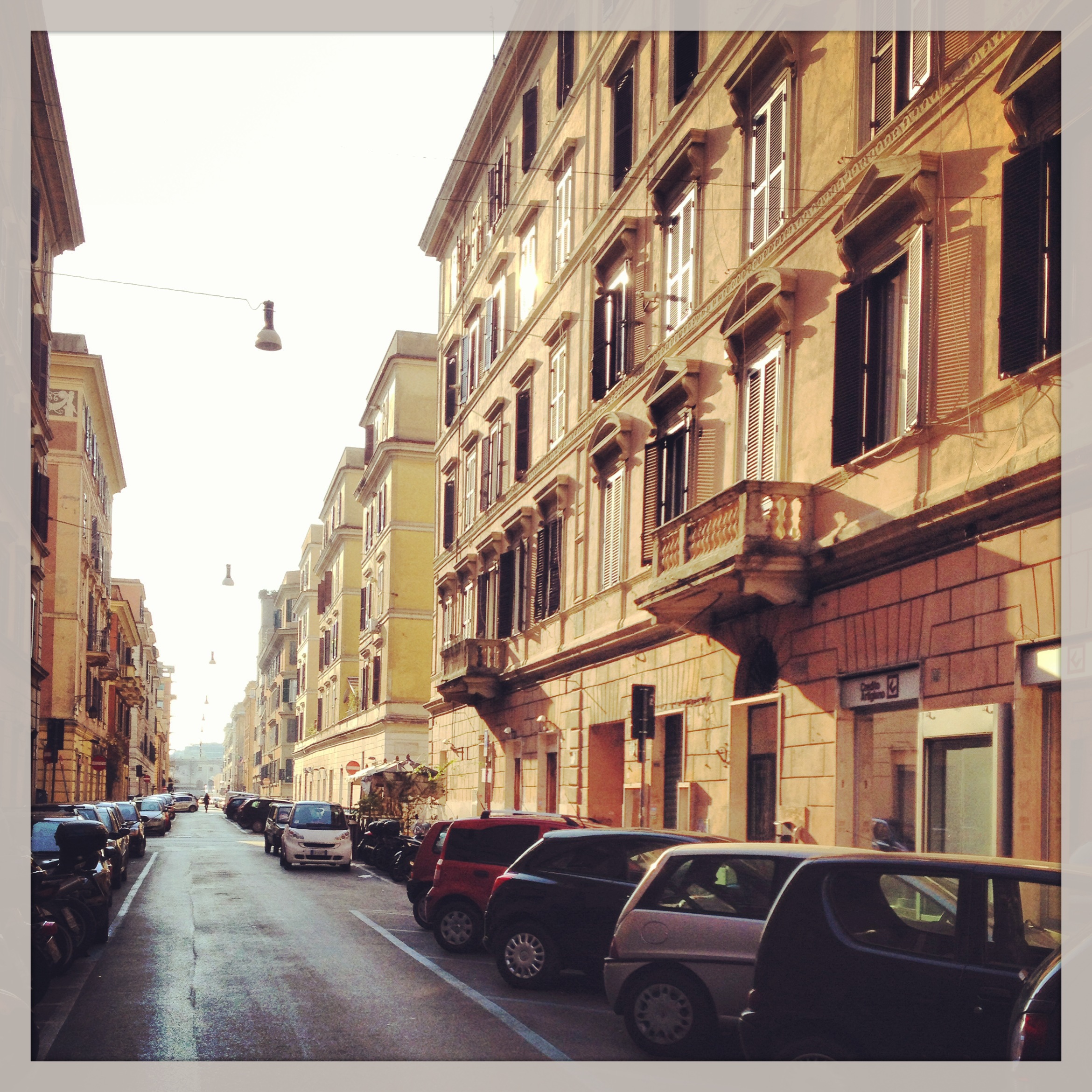 Wordpress Testaccio Street