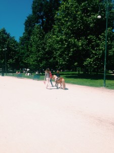 Just another leisurely day in Parco Sempione 