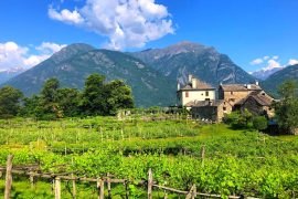 Alto Piemonte Nebbiolo wine