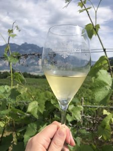 Trentodoc Italian Sparkling Wine Travel Guide vineyards