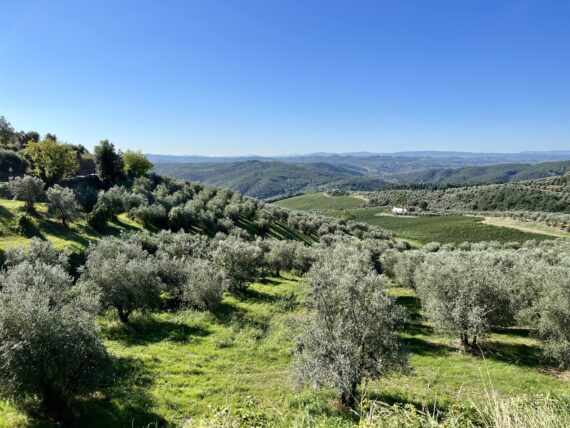 Tenuta di Artimino View